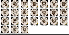 Load image into Gallery viewer, Engraved Dog Ornaments- Personalized
