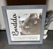 Load image into Gallery viewer, Pet Memorial Engraved Photo
